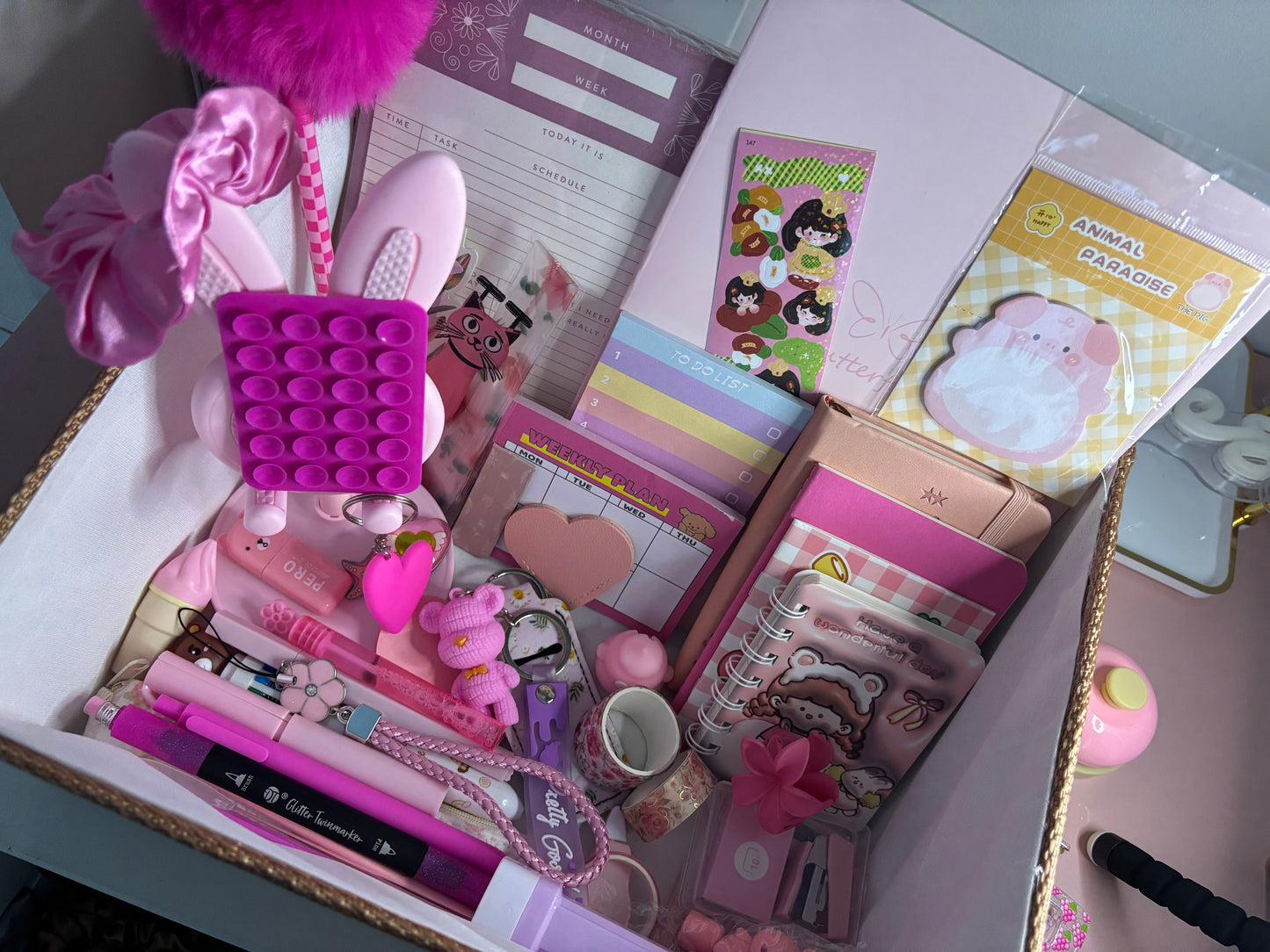 Mystery surprise bundle